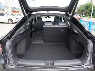 Volkswagen Lamando Details (9)