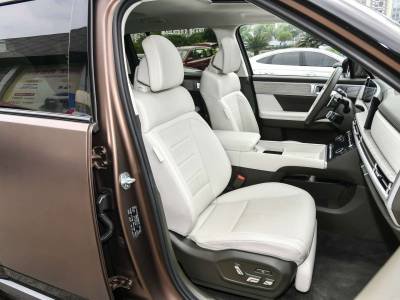 Hyundai Senta FE Details (3)