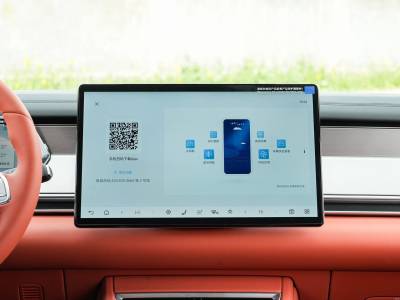 BYD Tang L DM Details (1)