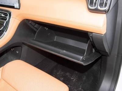 Geely Starray Details (14)