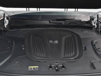 Hongqi E-HS9 Auto Details (1)