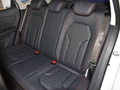 FAW Senia Details (3)