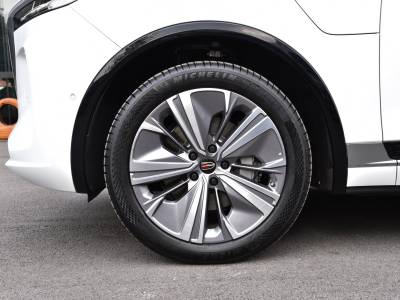 Hongqi E-HS9 Auto Details (2)