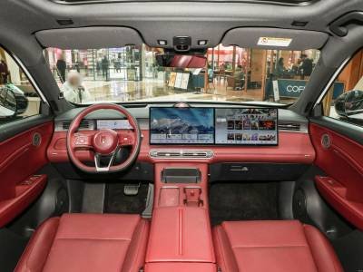 Hongqi HS6 PHEV Details (5)