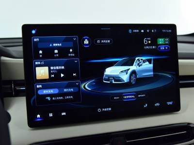 Aion LX Auto Details (8)