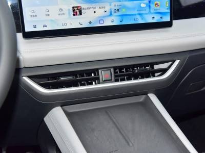 Jetta VS8 Details (4)