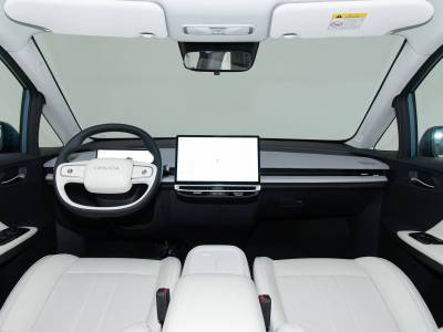 Venucia VX6 Details (3)