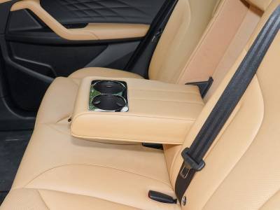 ROEWE eRX5 Details (5)