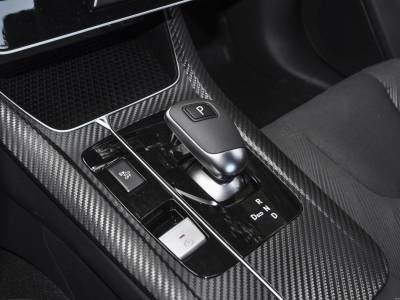 Venucia D60EV Details (4)