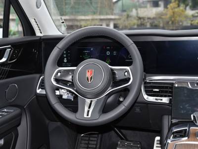 Hongqi E-HS9 Details (8)