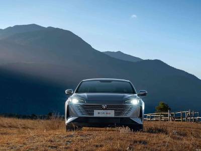 Changan EADO Details (10)