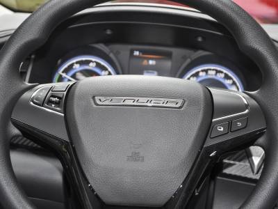 Venucia D60EV Details (1)