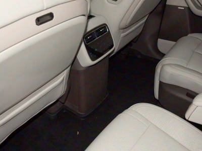 Denza N8L Details (2)