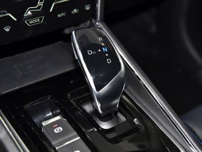 Venucia T60EV Details (3)