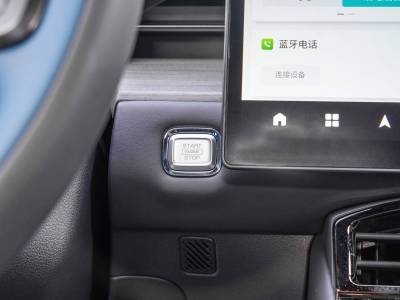 Jetour ShanHai L6 Details (3)