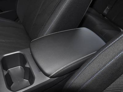 Venucia D60EV Details (8)