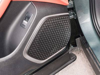BYD Tang L DM Details (2)