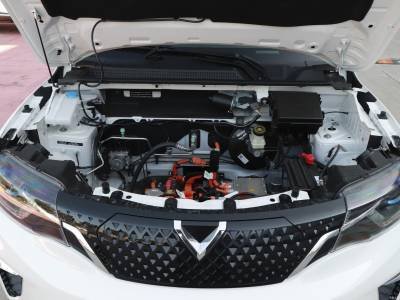 Venucia E30 Auto Details (2)