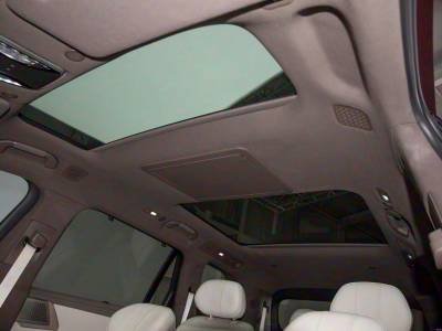 Denza N8L Details (8)